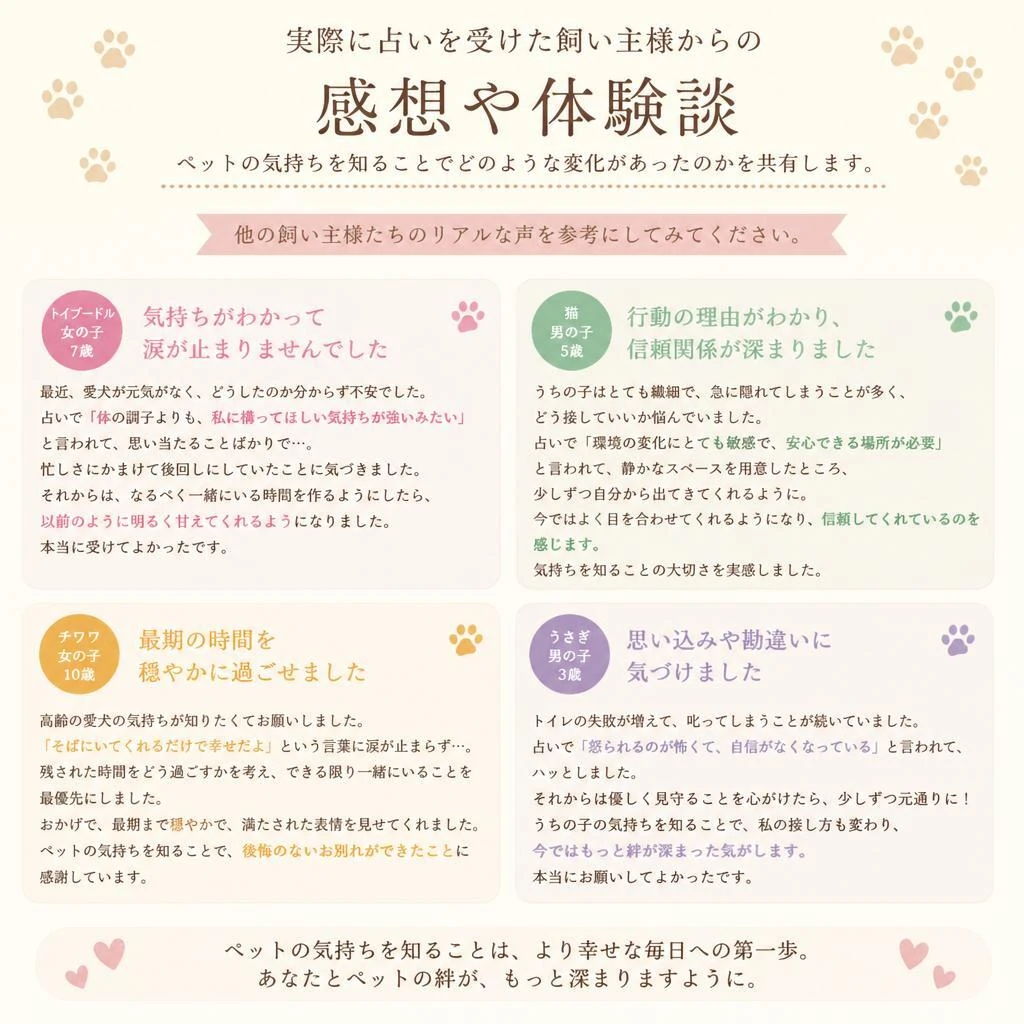 体験者の声